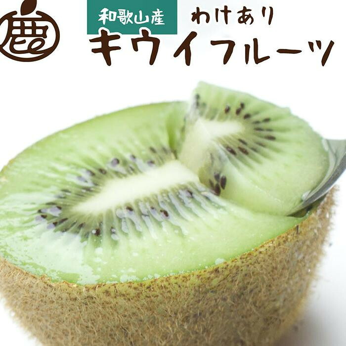 【ふるさと納税】【選べる容量】［先行予約］家庭用 キウイ1～5kg+250g（傷み補償分）【わけあり・訳あり・扁平果】［IKE105］ | 和歌山県 和歌山 九度山町 ふるさと 納税 キウイフルーツ キウイ 果物 くだもの フルーツ｜和歌山県九度山町