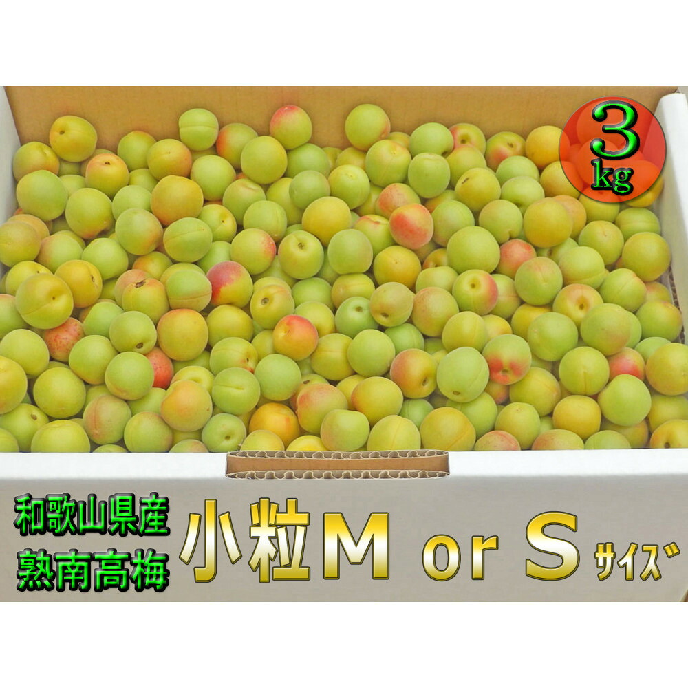 【ふるさと納税】［梅干・梅酒用］小粒（SまたはM－3Kg）熟南高梅＜2026年6月下旬～7月中旬発送予定＞フルーツ 果物 くだもの 食品 人気 おすすめ 送料無料［ART20］ | 梅 フルーツ 果物 くだもの 食品 人気 おすすめ 送料無料