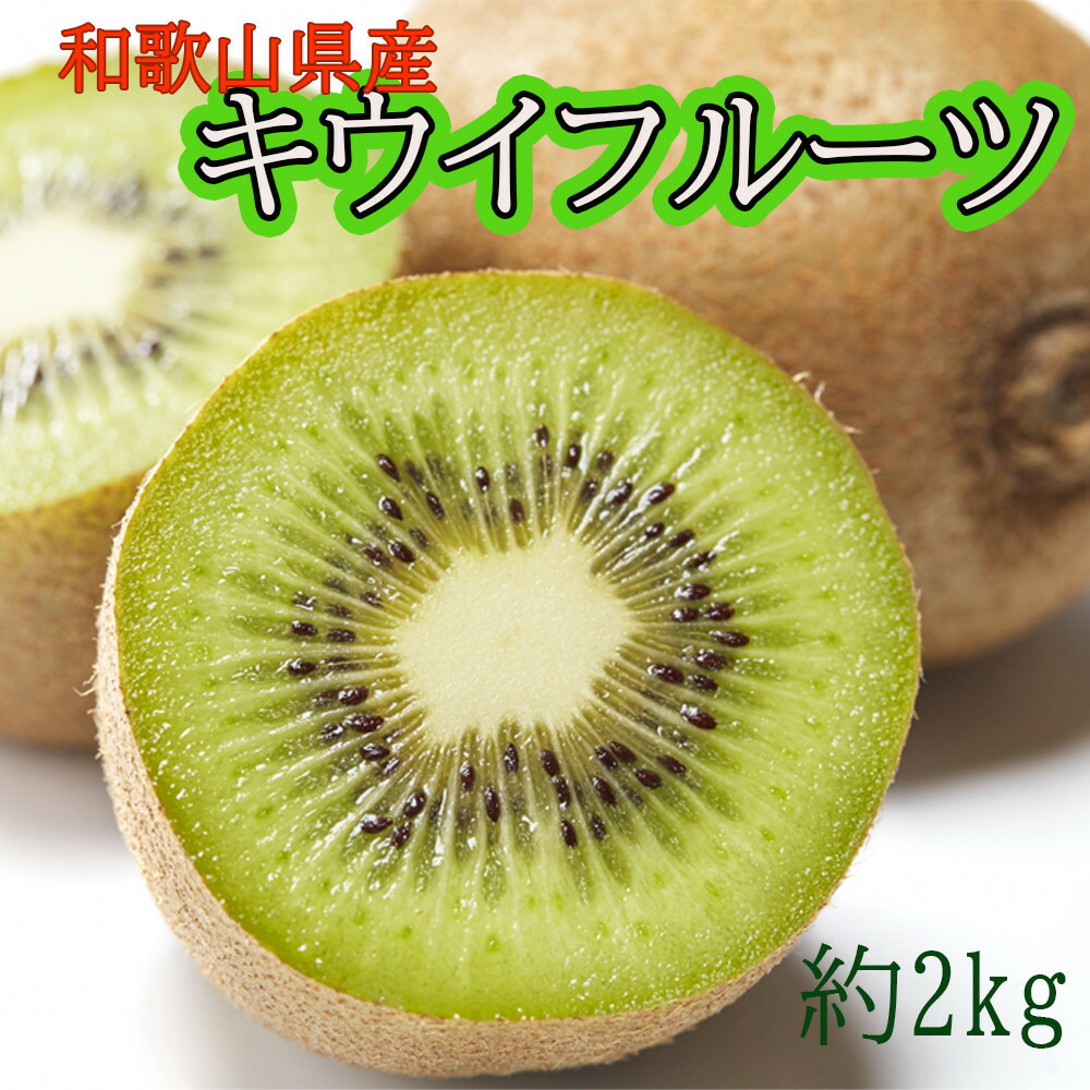 【ふるさと納税】［先行予約］ 和歌山県産キウイフルーツ約2kg サイズ混合 ★2026年11月下旬頃より順次発送 ［TM225］ | キウイ フルーツ 青果 果物 くだもの 食品 人気 おすすめ 送料無料
