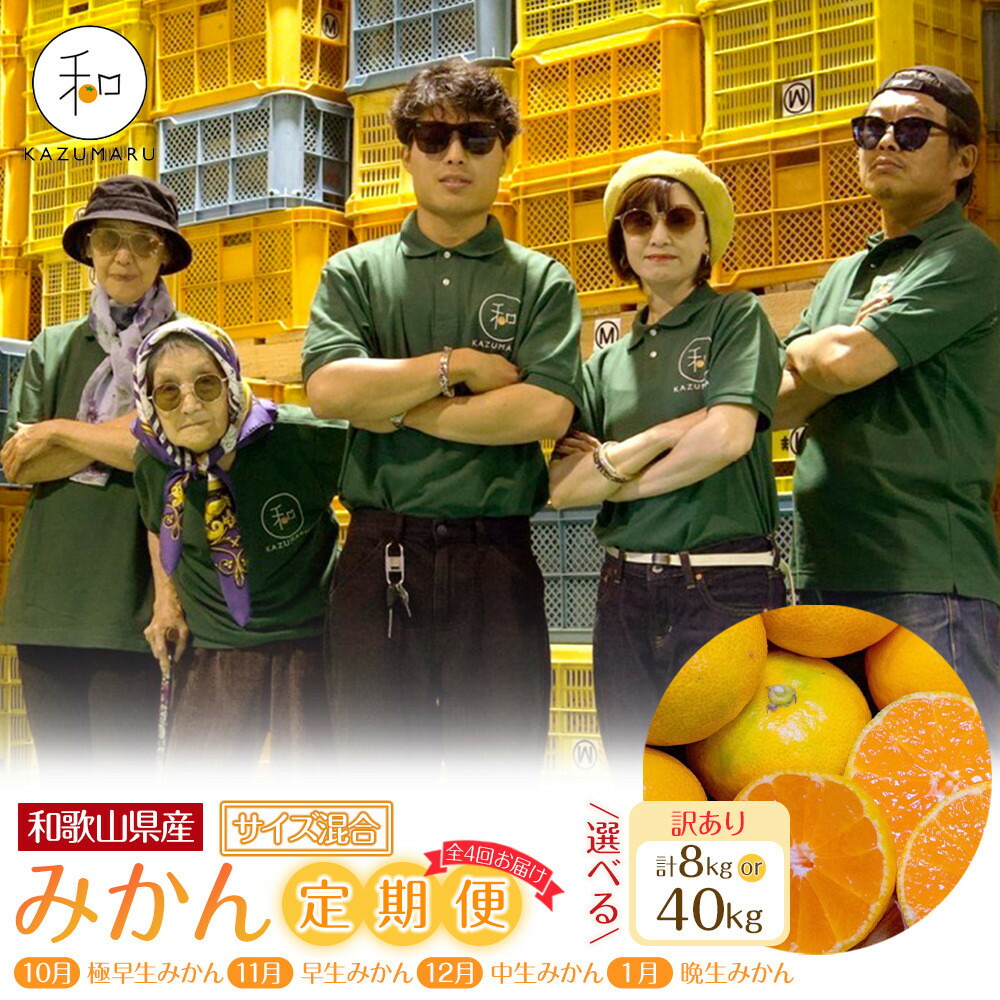 【ふるさと納税】［定期便・選べる容量］森本農園の手選別 訳ありみかん 約2kg or 約10kg サイズ混合 和歌山県産 ［北海道・沖縄・離島配送不可］［2026年10月～2027年1月まで全4回お届け］ ［RN165］ | 柑橘 フルーツ 果物 食品 人気 送料無料｜和歌山県九度山町