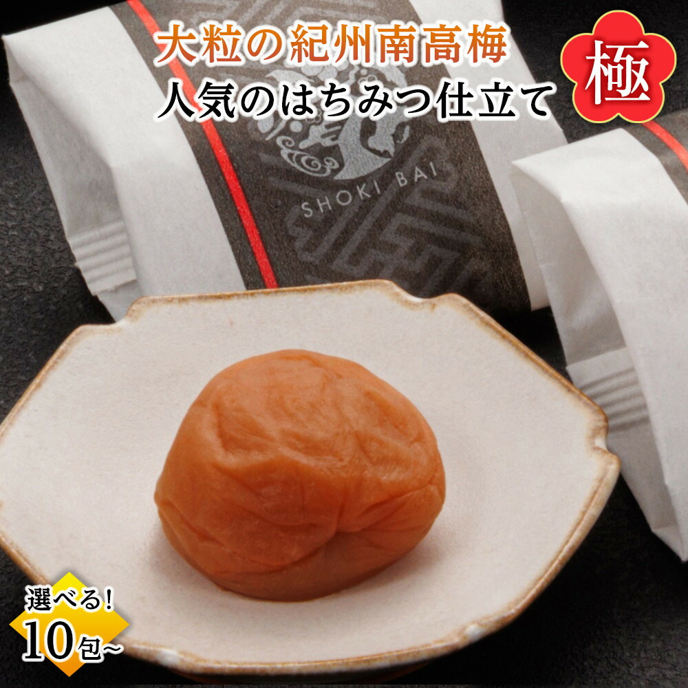 【ふるさと納税】大粒の紀州南高梅 人気のはちみつ仕立て「極」10包／16包 | 和歌山県 和歌山 九度山町 ふるさと 納税 返礼品 支援品 お取り寄せグルメ お取り寄せ 取り寄せ グルメ 梅干し 梅干 うめぼし はちみつ梅干し はちみつ 紀州南高梅 特産品 名産品 ご当地｜和歌山県九度山町