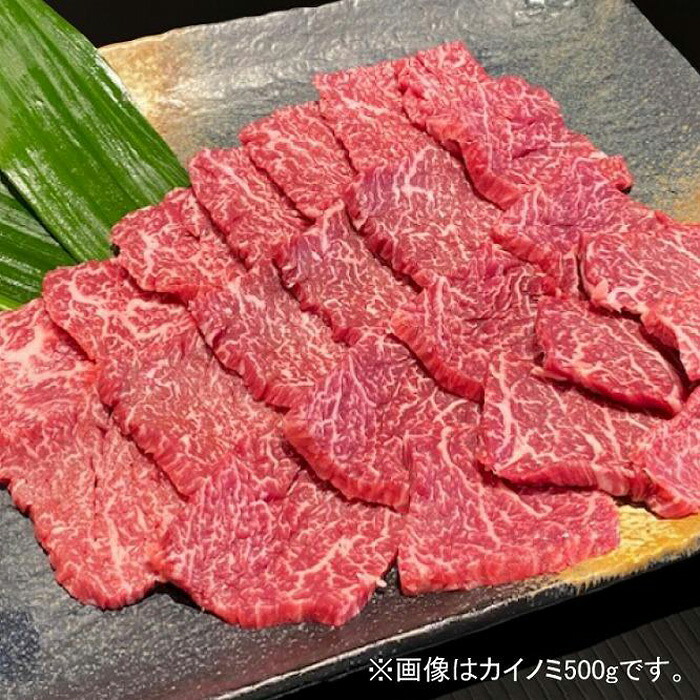 【ふるさと納税】熊野牛 希少部位 カイノミまたはササミ 焼肉用 約500g【MT41】 | 和歌山県 和歌山 九度山町 ふるさと 納税 返礼品 支援品 お取り寄せグルメ お取り寄せ 取り寄せ グルメ 牛肉 牛 肉 ブランド牛 焼き肉 やきにく 牛 焼肉 食品 美味しい