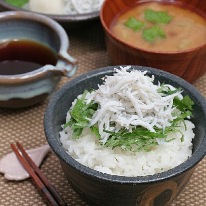 お年玉セール特価】 【ふるさと納税】紀州湯浅湾直送！海の恵 茹でたて釜揚げしらす 500g 【冷凍】 高評価の贈り物-css.edu.om