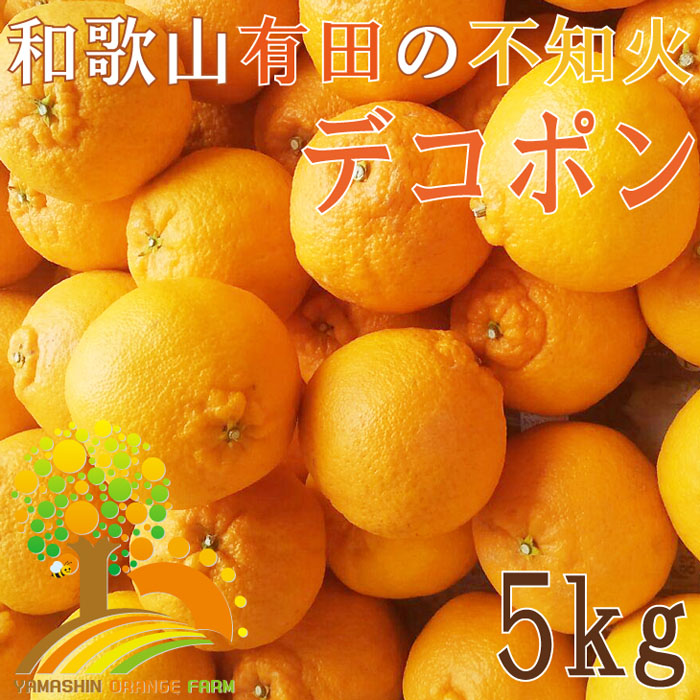 ふるさと納税 田村みかん約5kg 2022年11月下旬より順次発送 Sサイズ 和歌山県九度山町 秀品 大幅にプライスダウン Sサイズ