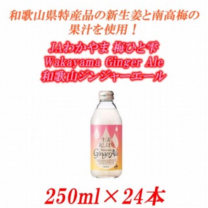 絶対一番安い Jaわかやま 生姜丸しぼり Wakayama Ginger Ale 和歌山ジンジャーエール 250ml 24本 和歌山県 和歌山 九度山町 ふるさと 納税 楽天ふるさと 支援 支援品 返礼品 お礼の品 名産 名産品 特産 特産品 九度山 和歌山県九度山町 ジンジャーエール