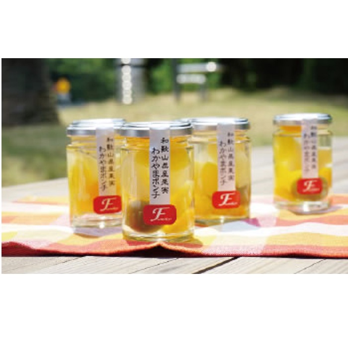 【ふるさと納税】高野山からの贈り物　わかやまポンチ［FN2］ | 九度山町 フルーツゼリー 果物たっぷり スイーツギフト 人気 おすすめ フルーツ ゼリー デザート 和菓子 おやつ 贈り物 お取り寄せ 送料無料 ふるさと納税