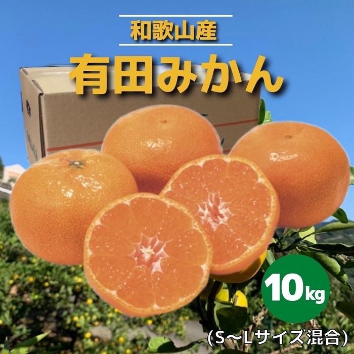 海外 和歌山県産 有田みかん 10kg 秀品 fucoa.cl