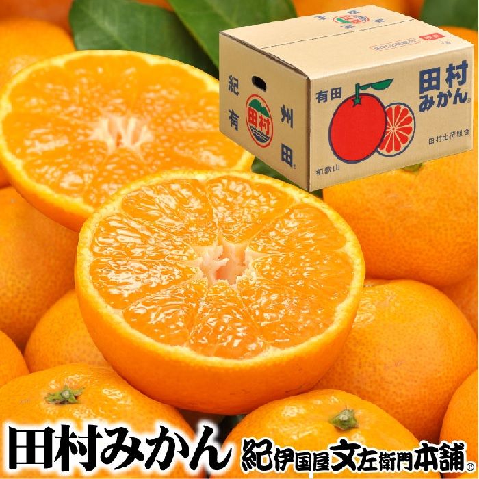 グルメ・飲料 食品 フルーツ・果物 (業務用20セット) マックス タイムカード ER-UDカード 100枚入 ×20セット ds-1742199
