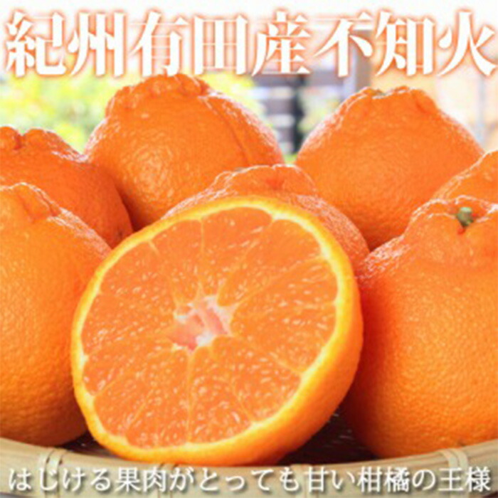 【ふるさと納税】紀州有田産不知火(しらぬひ) 約５kg［2026年2月中旬以降発送］［先行予約］［UT40］ | 名産品 取り寄せ ご当地 ミカン 蜜柑 不知火 有田みかん 返礼品 柑橘類 かんきつ類 柑橘 くだもの お土産