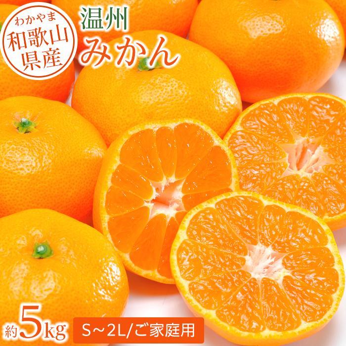 和歌山県産 温州みかん 約5kg
