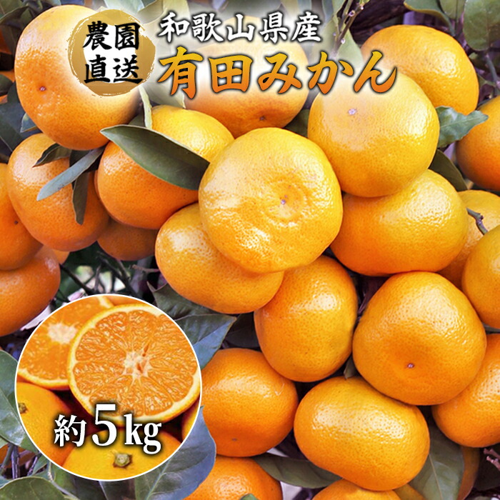 楽天市場】【ふるさと納税】【2022年11月中旬以降発送】＼農家直送／こだわりの有田みかん 約6.5kg 《有機質肥料100％》ご家庭用  【北海道,沖縄,離島の配送不可】| 楽天ふるさと 納税 和歌山 和歌山県 九度山町 九度山 支援品 返礼品 お礼の品 特産品 果物 フルーツ ...