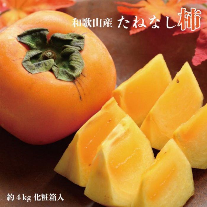 【ふるさと納税】【秋の味覚】和歌山産たねなし柿2L～4Lサイズ約4kg（化粧箱入り）★2025年10月頃より順次発送【TM192】