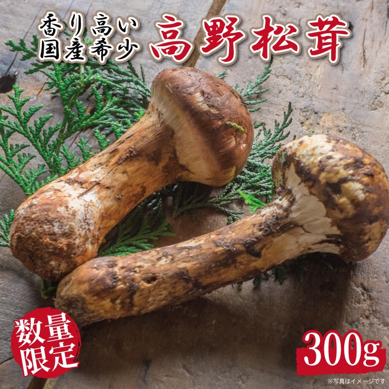 【ふるさと納税】先行予約 国産松茸 約300g 数量限定 香り高く希少【和歌山県高野町産】【2025年9月下旬～11月上旬発送】 | 天然 高級 お取り寄せ 数量限定 期間限定 和歌山県 高野町 和歌山 楽天ふるさと 納税 返礼品 国産松茸 マツタケ 生松茸 茸 秋の味覚 高野山 土瓶蒸し