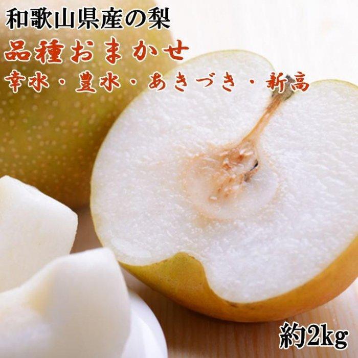 【ふるさと納税】和歌山県産の梨約2kg(品種おまかせ)★2026年8月下旬頃より順次発送【TM181】