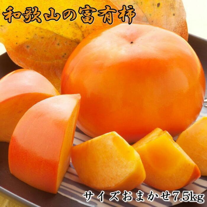 【ふるさと納税】 [甘柿の王様]和歌山産富有柿　約7.5kg サイズおまかせ★2025年11月上旬頃より順次発送【TM5】