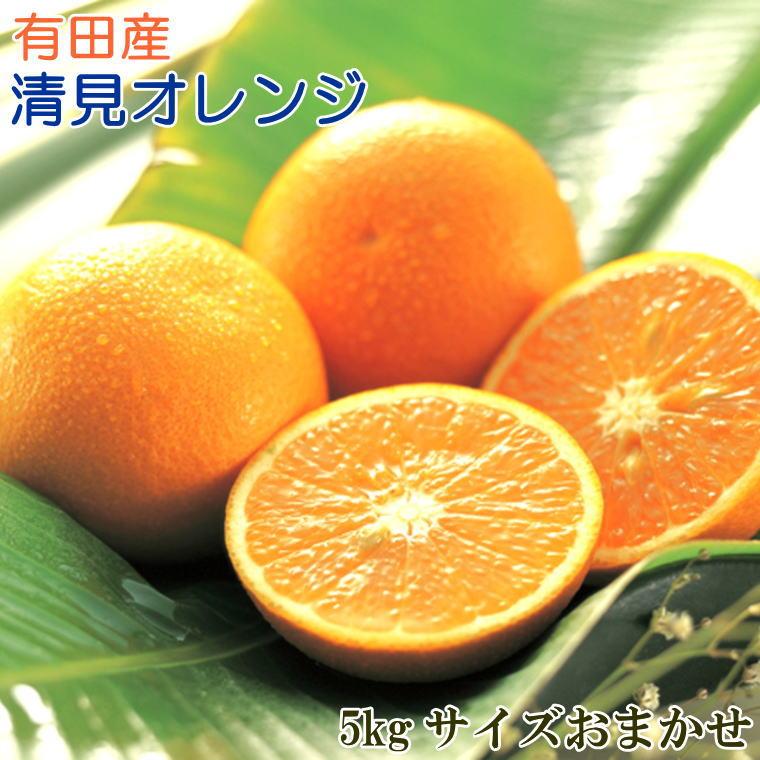 【ふるさと納税】［濃厚］有田産清見オレンジ約5kg（サイズおまかせ・青秀以上）★2026年2月下旬頃より順次発送［TM43］