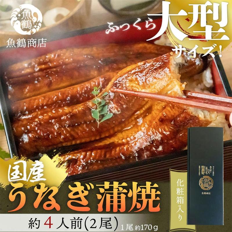 【ふるさと納税】大型サイズ　ふっくら柔らか国産うなぎ蒲焼き　2尾 | 鰻 魚介類 水産 食品 人気 おすすめ 送料無料　国産　大型　うなぎ　蒲焼