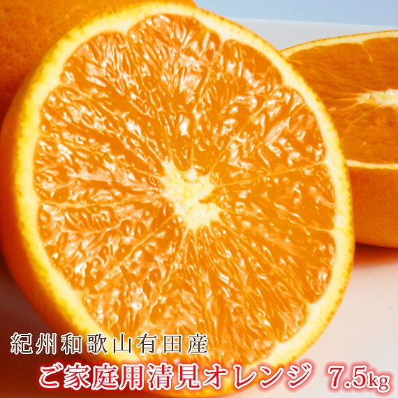 【ふるさと納税】［ご家庭用訳アリ］紀州有田産清見オレンジ　7.5kg［2026年3月下旬以降発送］［先行予約］［UT54］