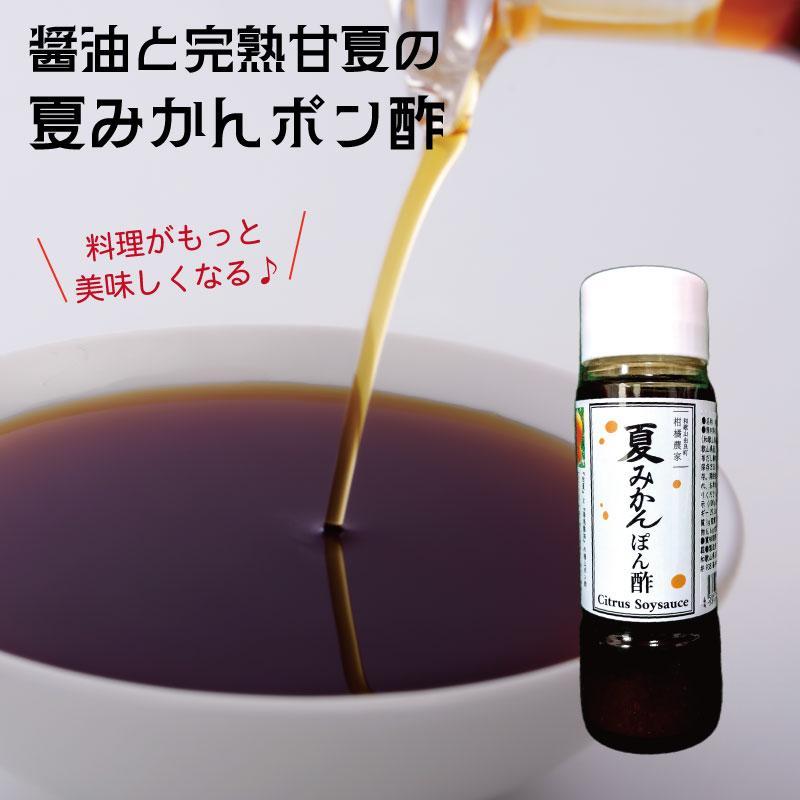 【ふるさと納税】湯浅の醤油の深いコクと完熟甘夏の自然な酸味「夏みかんポン酢」【11本】 | 和歌山 和歌山県産 高野町 みかん 柑橘 ポン酢 ぽん酢 酢 調味料 鍋 贈り物 ふるさと納税 ギフト｜和歌山県高野町