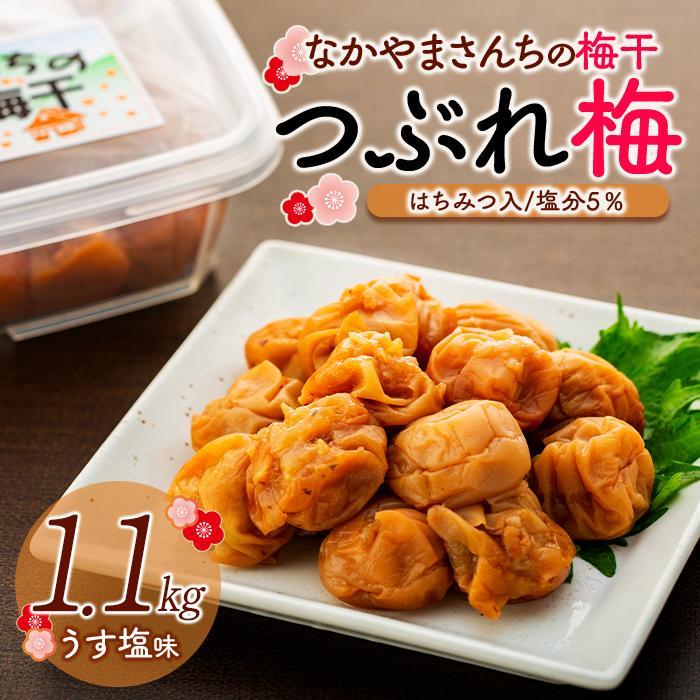 【ふるさと納税】なかやまさんちの梅干(1.1kg×1箱)うす塩(はちみつ入)塩分5%【訳あり】【つぶれ梅】 | 訳あり 規格外 梅ぼし うめぼし うめ干し うめ 南高梅 蜂蜜 ご飯 ごはん おにぎり 国産 お取り寄せ 人気 おすすめ 美味しい 和歌山県 高野町 なかやまさんち|和歌山県高野町
