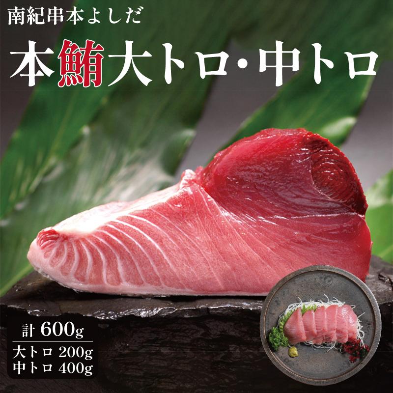 【ふるさと納税】南紀串本よしだ 本鮪 大トロ サク 200g 中トロ サク 400gセット | まぐろ マグロ 鮪 魚 お魚 さかな 食品 人気 おすすめ 送料無料 年末年始 お祝い ギフト|和歌山県高野町