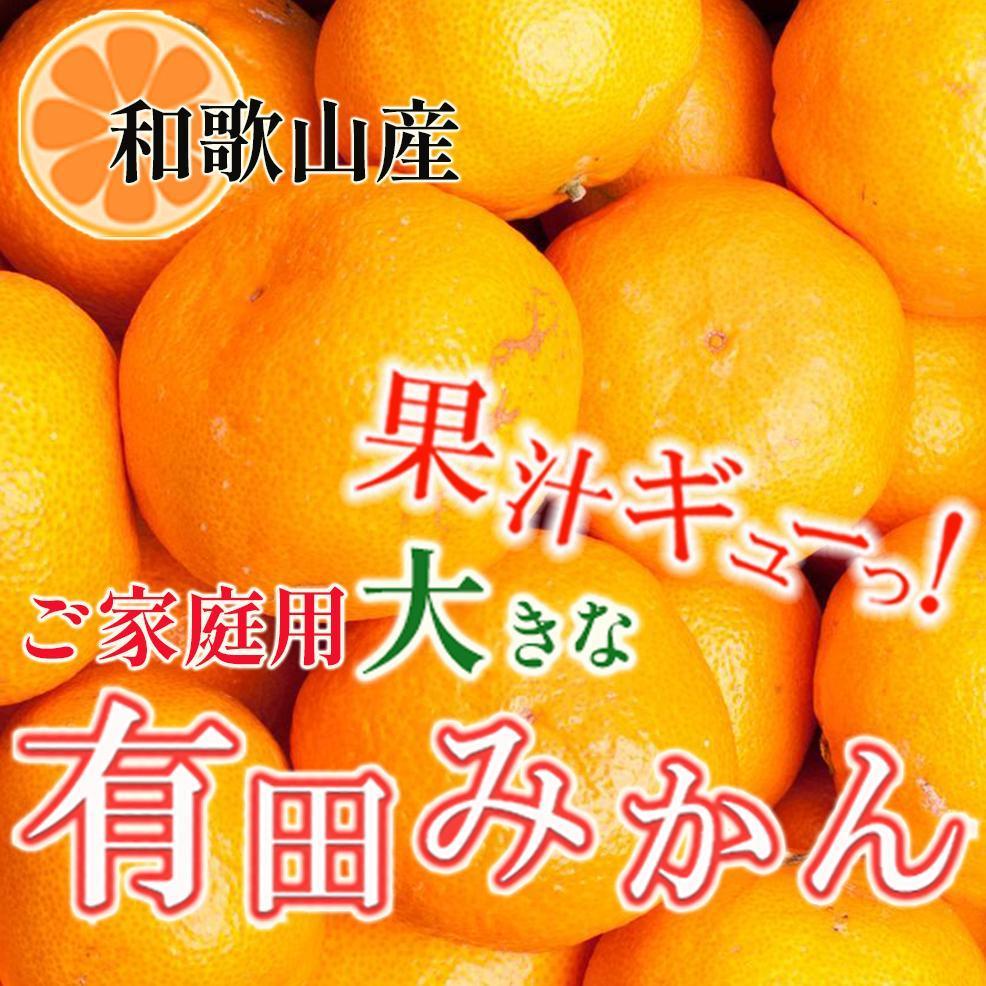 【ふるさと納税】［先行予約］家庭用 大きな有田みかん10kg+250g（傷み補償分）［2026年11月中旬から2027年1月末日頃、順次発送予定］［IKE243］ | 柑橘 蜜柑 有田みかん みかん フルーツ 果物 くだもの 食品 人気 おすすめ 送料無料｜和歌山県高野町 9,880円