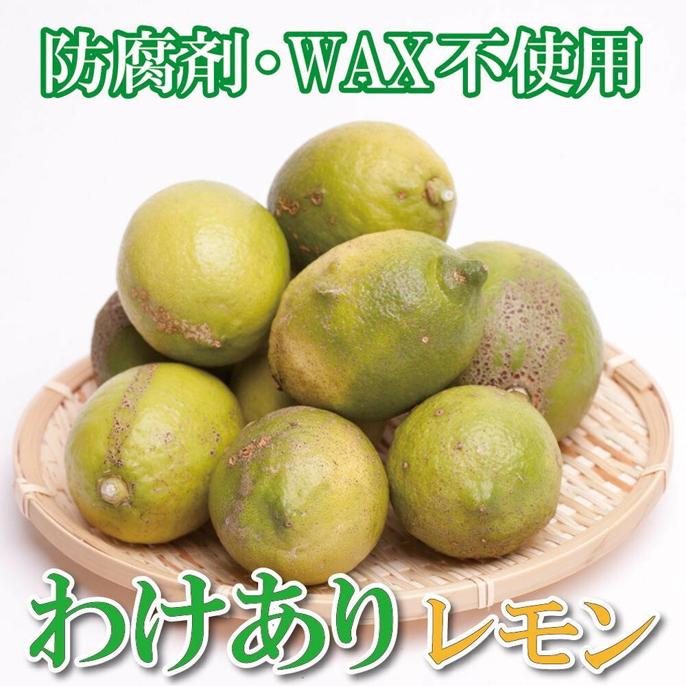 【ふるさと納税】家庭用 レモン2.5kg+250g（傷み補償分）【和歌山有田産】【防腐剤・WAX不使用、安心の国産レモン】【わけあり・訳ありレモン】 ［IKE124］ | フルーツ 果物 くだもの 食品 人気 おすすめ 送料無料 和歌山有田産 防腐剤 WAX不使用 国産レモン