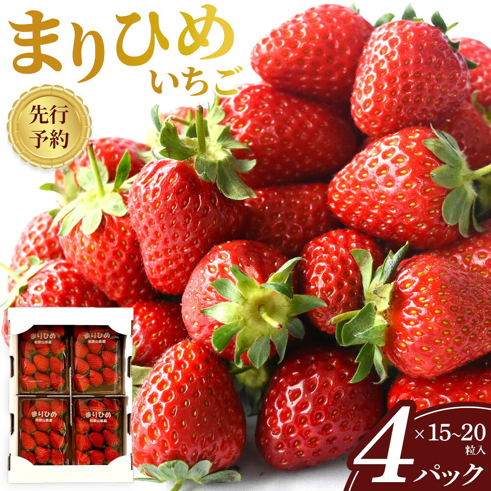 【ふるさと納税】先行予約 まりひめいちご 15～20粒入&times;4パック 食べやすいひと口サイズ こだわり 農家厳選 ［KG32］ | いちご 苺 フルーツ 果物 くだもの 食品 人気 おすすめ 送料無料 産地直送｜和歌山県高野町