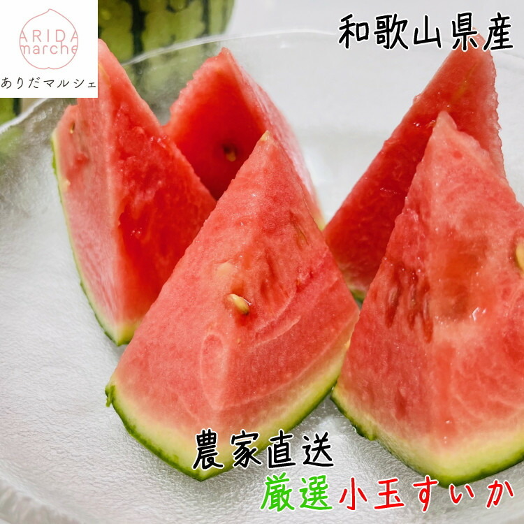 【ふるさと納税】［先行予約］厳選 小玉すいか Ｍサイズ／１玉入り［農家直送］［先行予約］［和歌山県産］［MS126］ | フルーツ 果物 くだもの 食品 人気 おすすめ 送料無料