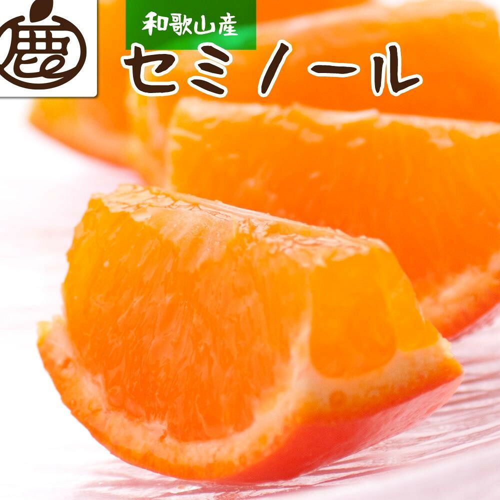 【ふるさと納税】【選べる容量】［先行予約］ 厳選 セミノールオレンジ 1～10kg+250g（傷み補償分）［春みかん］［有田産］［光センサー食べ頃出荷］ | フルーツ 果物 くだもの 食品 人気 おすすめ 送料無料