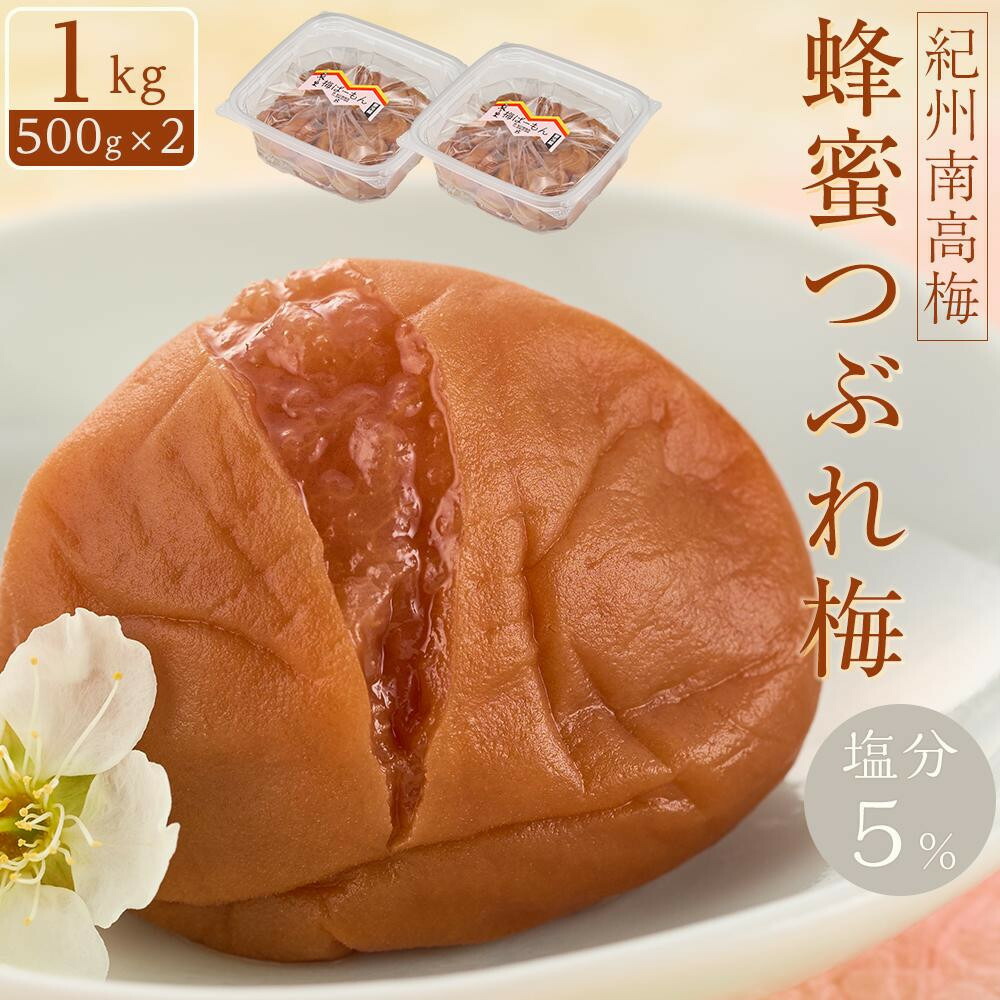 【ふるさと納税】【選べる容量】紀州南高梅 蜂蜜つぶれ梅 塩分5％ 1～2kg (500g&times;2～4) ［Kn22］ | 梅干 うめぼし 家庭用 梅 国産 食品 人気 梅干し 取り寄せ グルメ ご飯のお供 お得 訳あり 規格外 ふるさと納税 和歌山県 高野町 和歌山県高野町 高野山｜和歌山県高野町