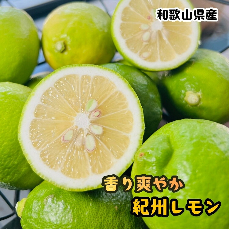 【ふるさと納税】【選べる内容量】農家直送 紀州 レモン 約2～3kg | レモン 檸檬 フルーツ 果物 くだもの 食品 人気 おすすめ 送料無料｜和歌山県高野町