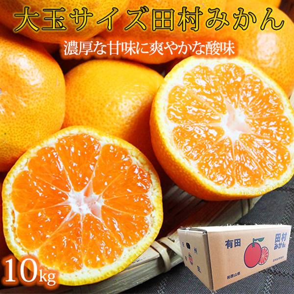 注目ブランド 高級ブランド田村みかん １０kg 大玉サイズ 21年11月下旬 22年1月下旬頃に順次発送予定 工場直送 Mundotour Cl