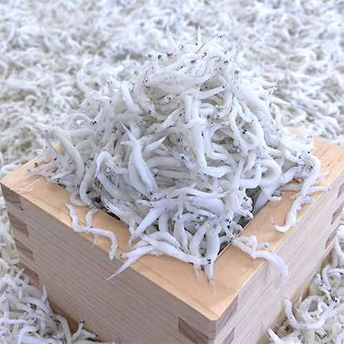 魅了 老舗の味 茹でたて 釜揚げしらす １ｋｇ ５００ｇ ２パック 北海道 沖縄 その他離島地域へのお届け不可 和歌山県高野町 超人気 Vancouverfamilymagazine Com