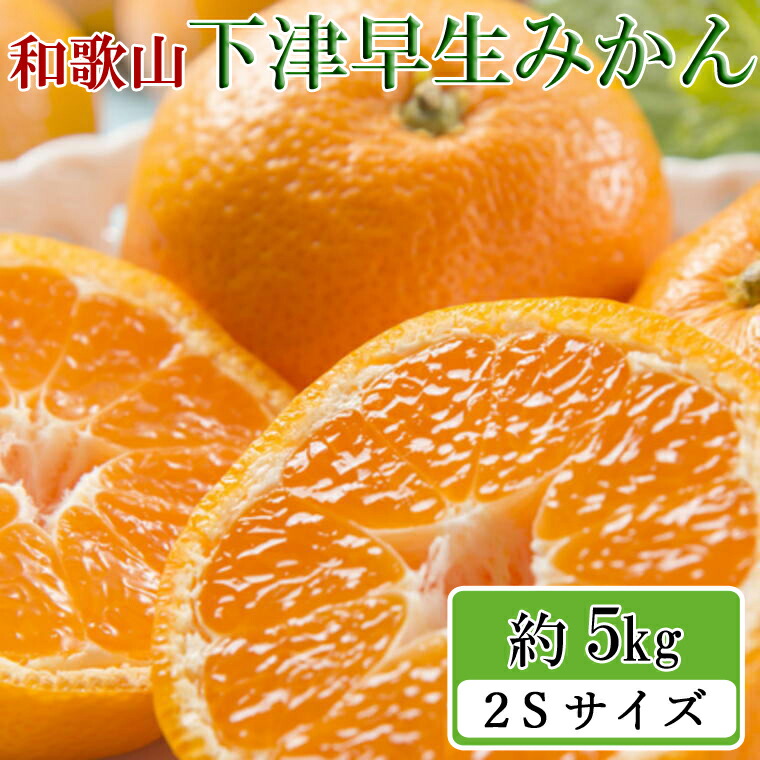 市場 ふるさと納税 産直 柑橘 2sサイズ フルーツ 和歌山下津早生みかん5kg 秀品 蜜柑 果物