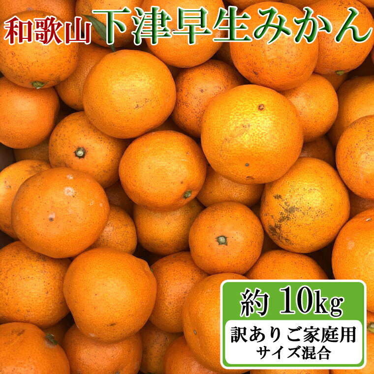 市場 ふるさと納税 蜜柑 果物 和歌山下津早生みかん10kgご家庭用向け サイズ混合 柑橘 訳あり