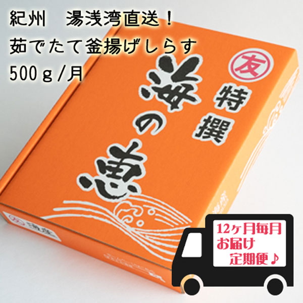 【ふるさと納税】紀州湯浅湾直送！海の恵　茹でたて釜揚げしらす (冷蔵) 【定期便】500ｇ×12回