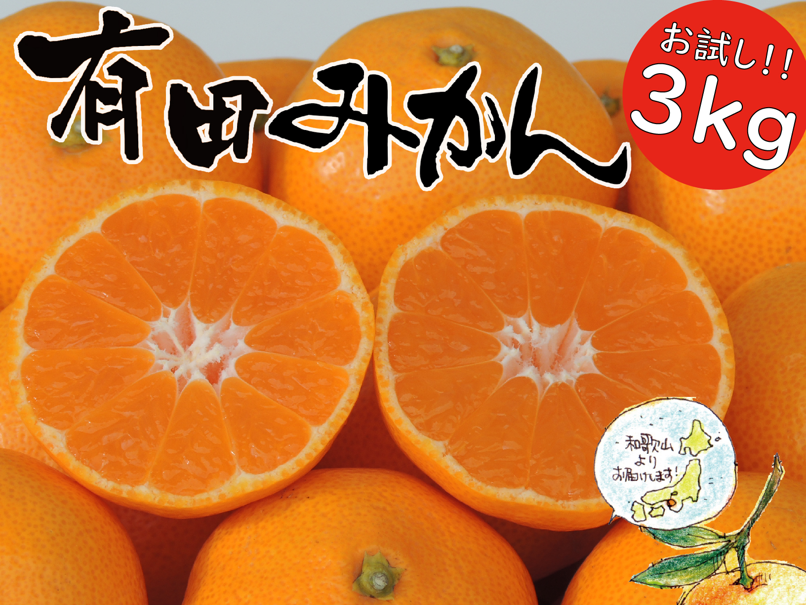 ふるさと納税 はじめまして 有田みかん 和歌山県産 お試し 3kg 数量限定 Oryy推奨商品 Fmcholollan Org Mx