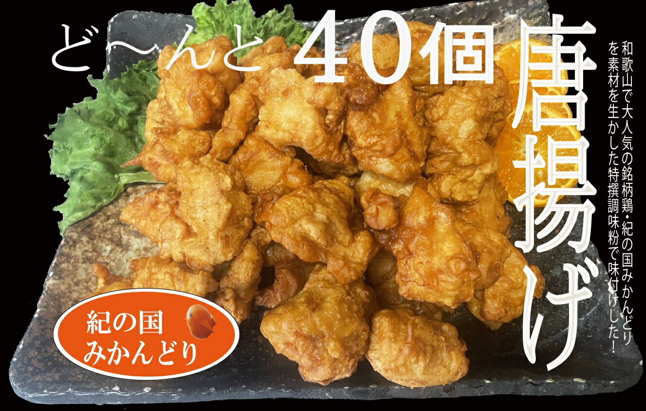 【ふるさと納税】紀の国みかんどり 特選 唐揚げ【からあげ 鶏から 冷蔵 チルド 惣菜 弁当 おかず】|和歌山県湯浅町