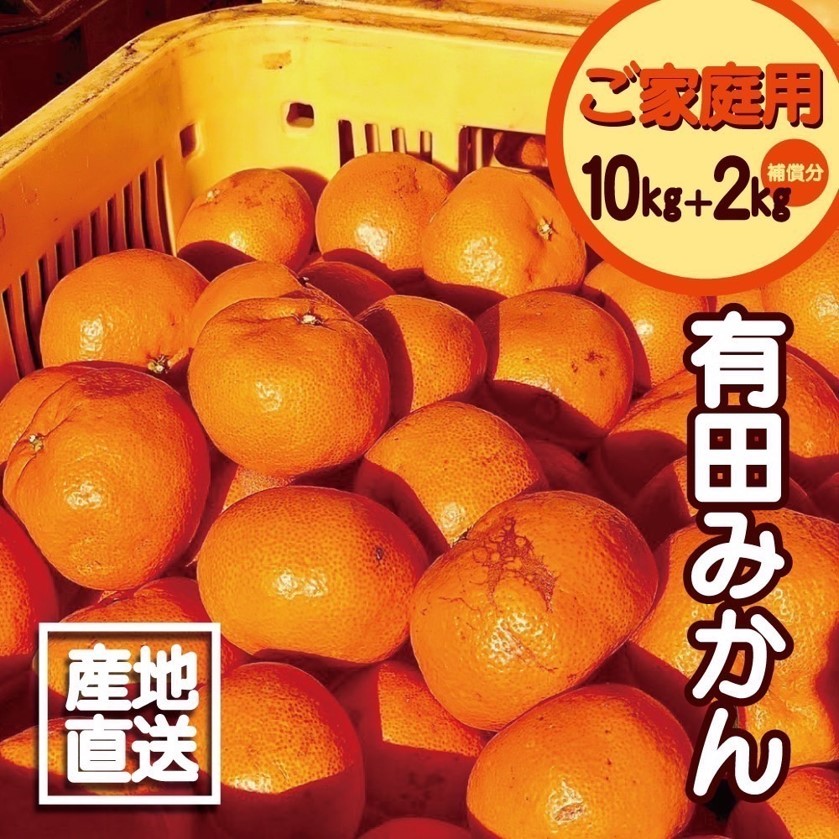 【ふるさと納税】【限定】【2025年先行予約】 【訳あり】 みかん 有田みかん 10kg＋2kg保証分 サイズ混合 11月より順次発送 【訳ありみかん 有田みかん みかん ミカン 蜜柑 柑橘 温州みかん 和歌山  ご家庭用】