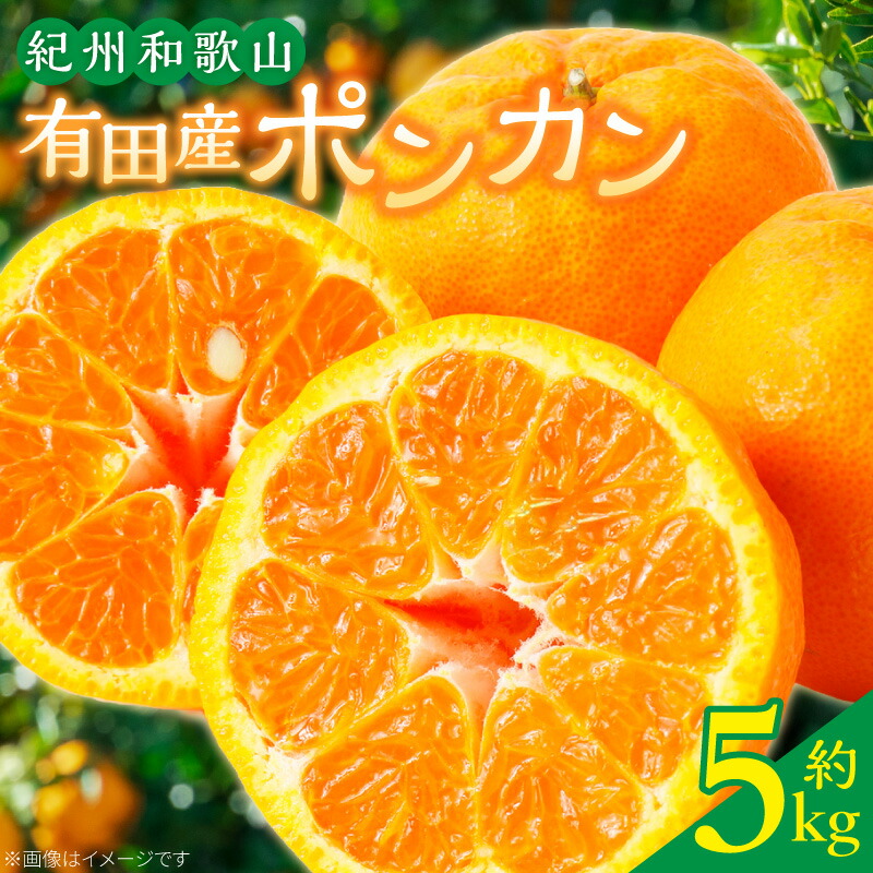 【ふるさと納税】【2027年先行予約】【限定】 紀州和歌山有田産 ポンカン 約5kg【ミカン 蜜柑 春みかん 柑橘 和歌山 有田 ぽんかん】｜和歌山県湯浅町