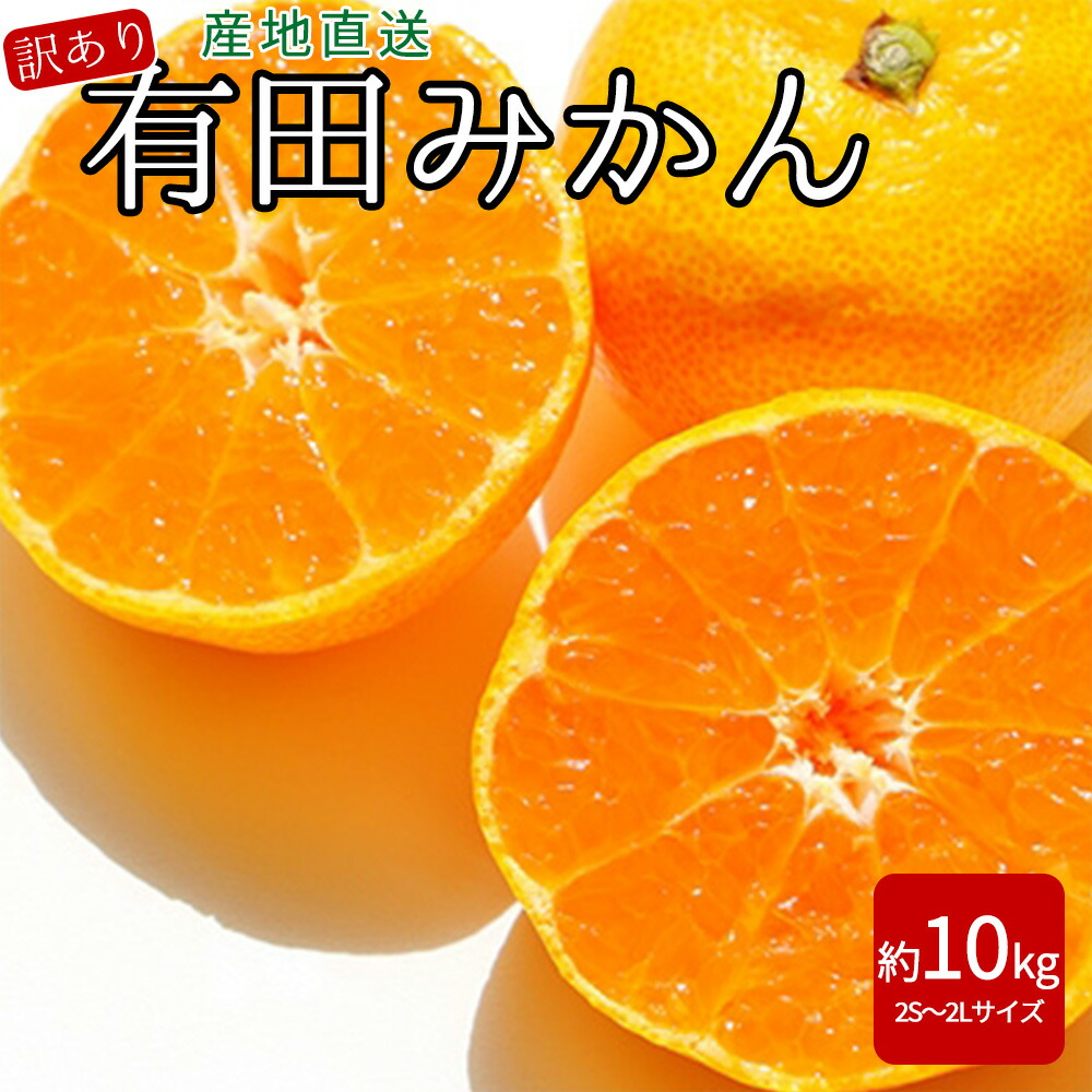 人気定番の 有田みかん 訳あり 家庭用 約10kg 2S〜2Lサイズ fucoa.cl