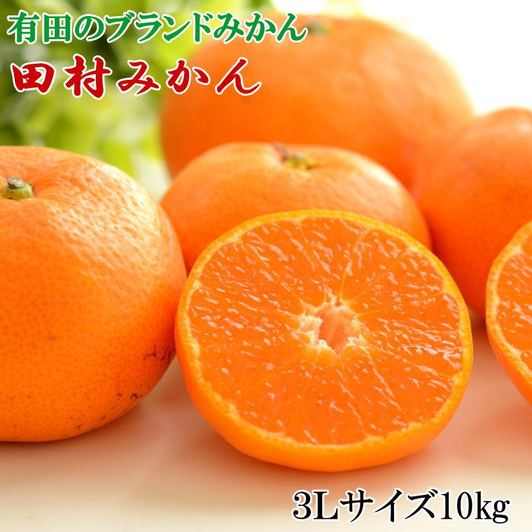 【ふるさと納税】【限定】【2025年先行予約】 数量限定 田村みかん 約 10kg 3Lサイズ 大玉 等級 混合 国産 ブランドみかん 大玉みかん みかん 柑橘 果物 果実 濃厚 フルーツ デザート 食品 食べ物 お取り寄せ お取り寄せフルーツ 和歌山県 湯浅町 送料無料