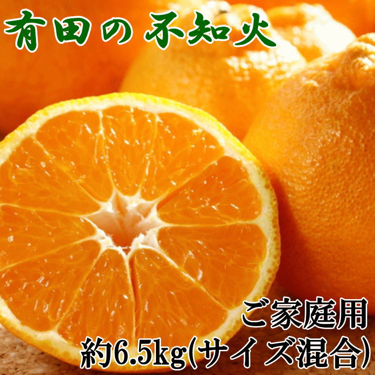 【ふるさと納税】【2026年先行予約】【限定】 【濃厚】有田の 不知火 【訳あり 家庭用】 6.5kg (サイズ混合)【でこぽん デコポン しらぬい 不知火 柑橘】