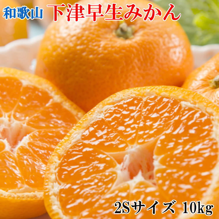 和歌山 下津 早生みかん 10kg (2Sサイズ)