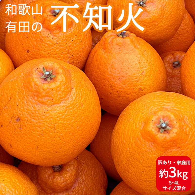 【ふるさと納税】こだわりの 国産 ネーブルオレンジ 【訳あり 家庭用】 8kg 藤秀園 【ミカン 蜜柑 柑橘 温州みかん 和歌山 有田  楽天限定】 和歌山県湯浅町