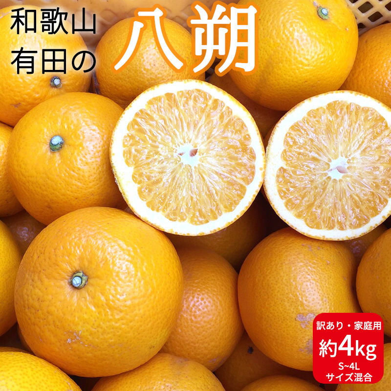 楽天市場】【ふるさと納税】【先行予約】和歌山県産 有田の 八朔