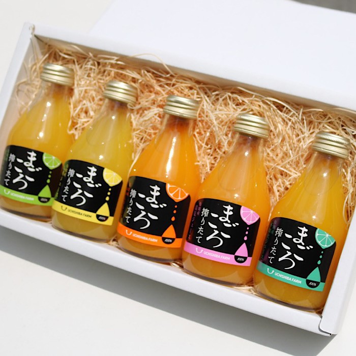 まごころ搾りたて 5種類100 ジュース 180ml 5本 化粧箱 みかんジュース 温州みかん 八朔ジュース 八朔 不知火ジュース 不知火 清見ジュース 清見 甘夏ジュース 甘夏 Bouncesociety Com