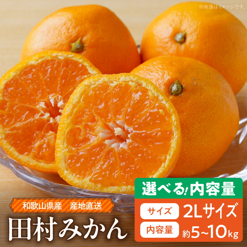 【ふるさと納税】【限定】 【2025年先行予約】  和歌山 湯浅町産 田村みかん 選べる 容量 5kg 10kg  2Lサイズ ミカン 蜜柑 柑橘 温州みかん 有田みかん 和歌山 大粒