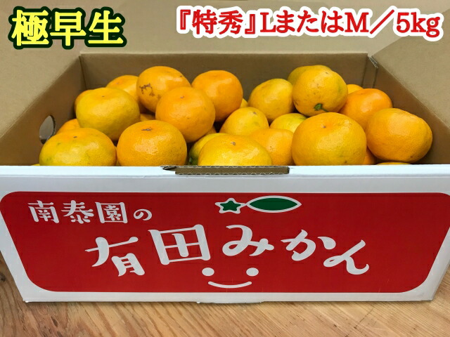 送料無料 極早生 有田みかん 5kg 特秀 LまたはMサイズ fucoa.cl